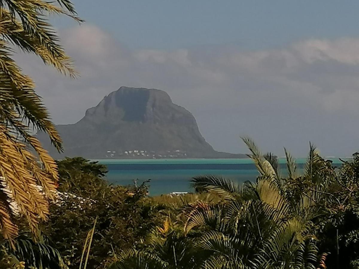 Terre Et Mer - Studios - Ile Maurice Rivière Noire Buitenkant foto