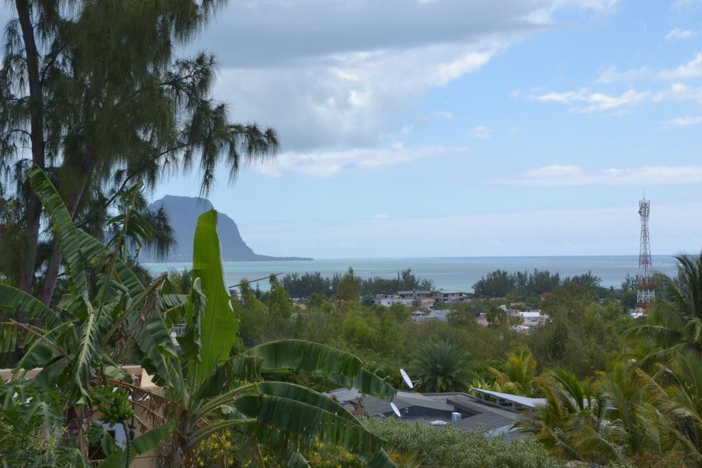 Terre Et Mer - Studios - Ile Maurice Rivière Noire Buitenkant foto